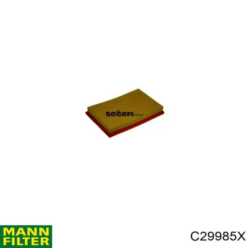 Купити C29985X Mann-Filter Автомобільний фільтр повітря