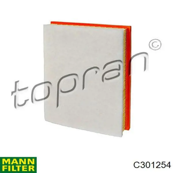 Купити C301254 Mann-Filter Автомобільний фільтр повітря