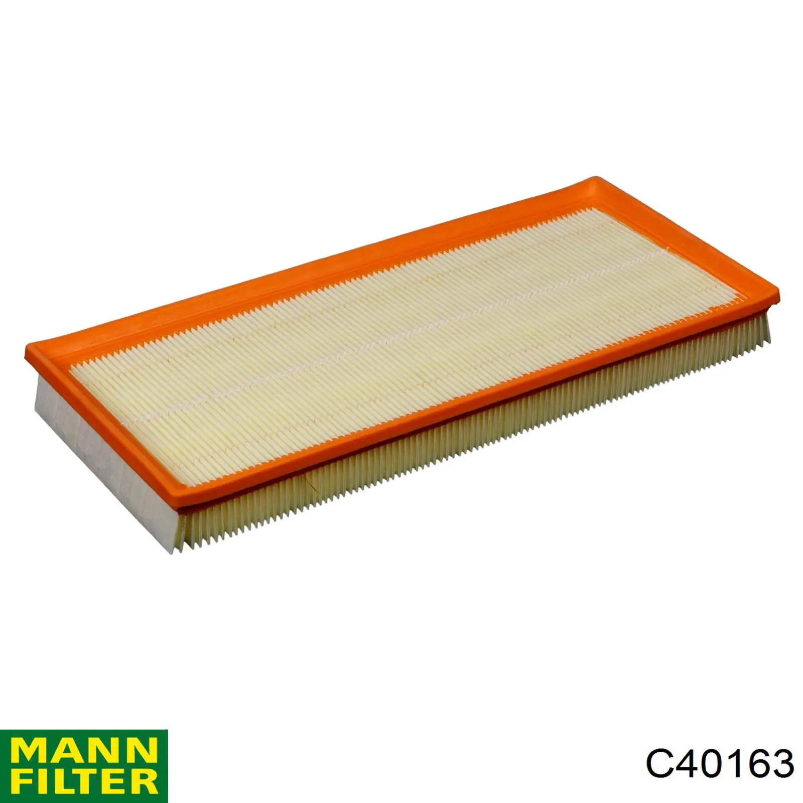 Повітряний фільтр C40163 Mann-Filter