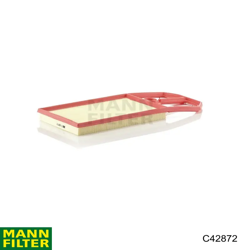 Купити C42872 Mann-Filter Автомобільний фільтр повітря
