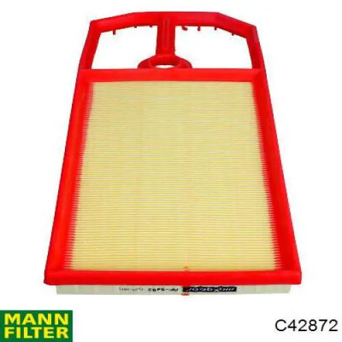 Купити C42872 Mann-Filter Автомобільний фільтр повітря