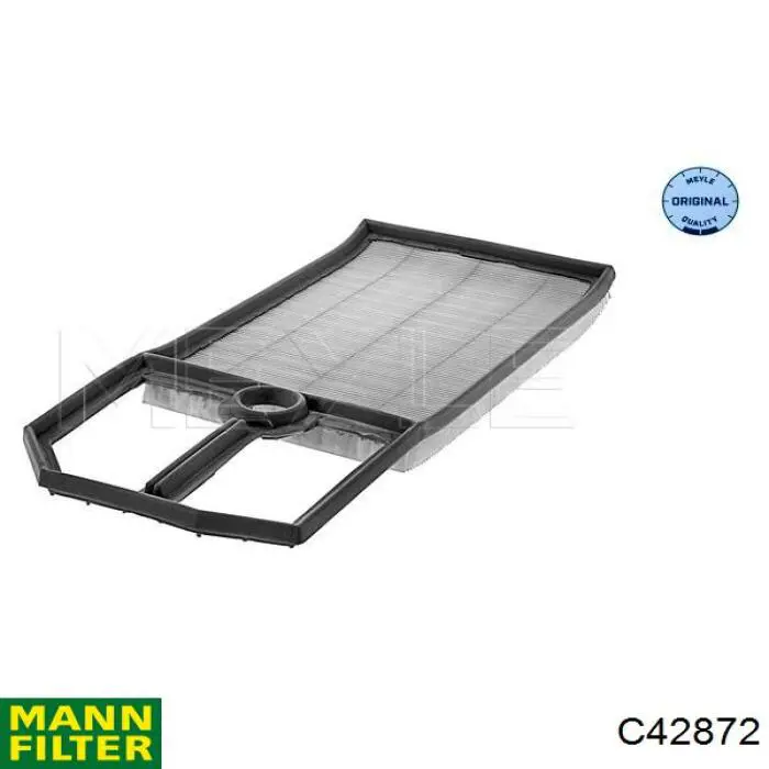 Повітряний фільтр C42872 Mann-Filter