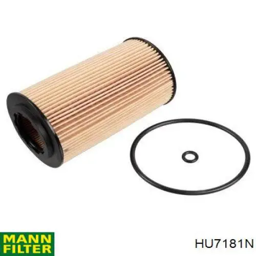 Купити HU7181N Mann-Filter Фільтр очищення масла відцентровий