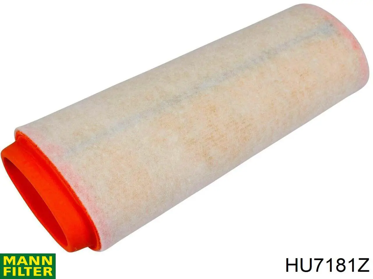 Масляний фільтр двигуна Mann-Filter HU7181Z ціна, від 7.85 USD