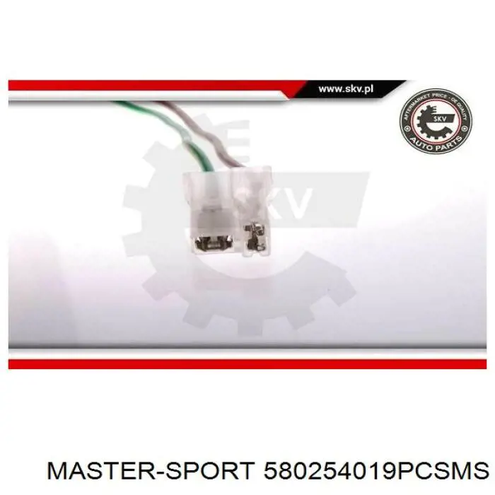 580254019PCSMS Master-sport Паливний насос електричний, погружной