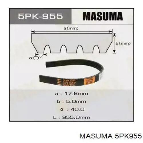 5PK955 Masuma Поліклиновий ремінь