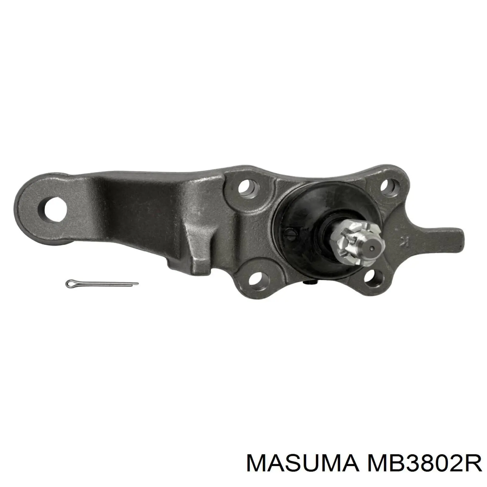 MB3802R Masuma кульова опора, нижня, права