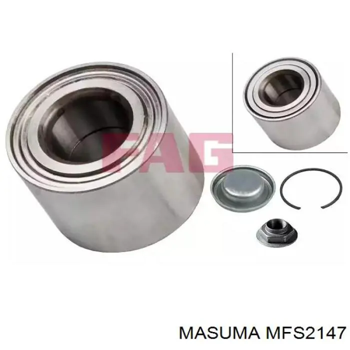 MFS2147 Masuma 