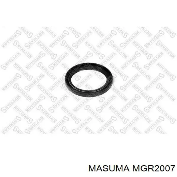 Купити MGR2007 Masuma 
