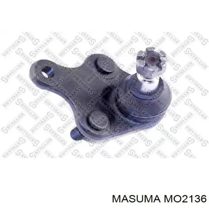  MO2136 Masuma