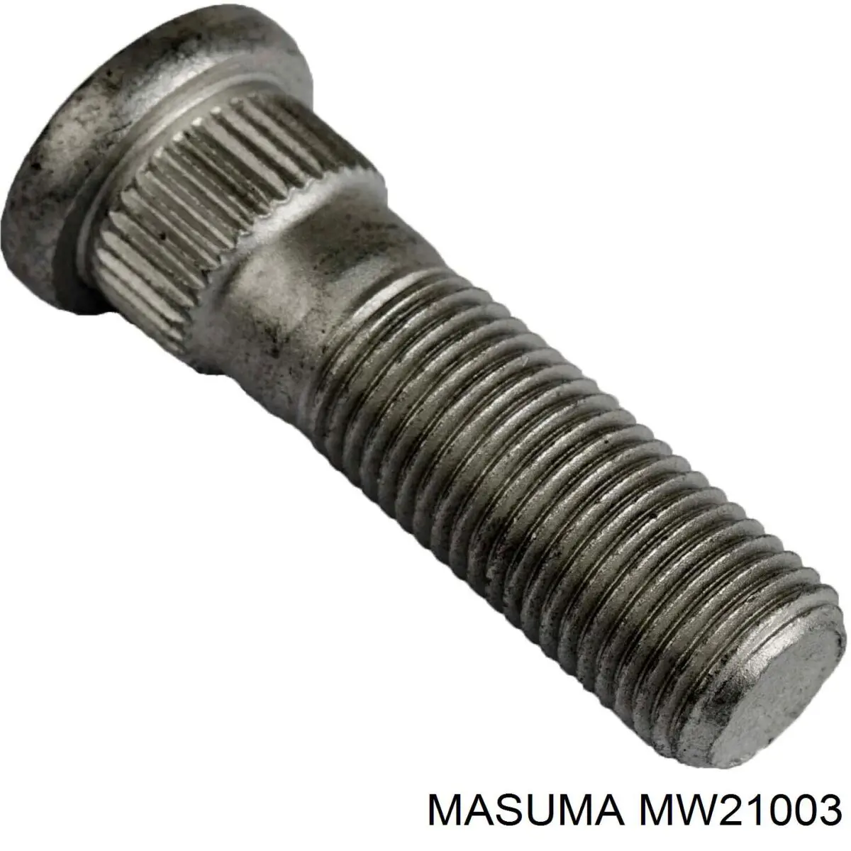  MW21003 Masuma