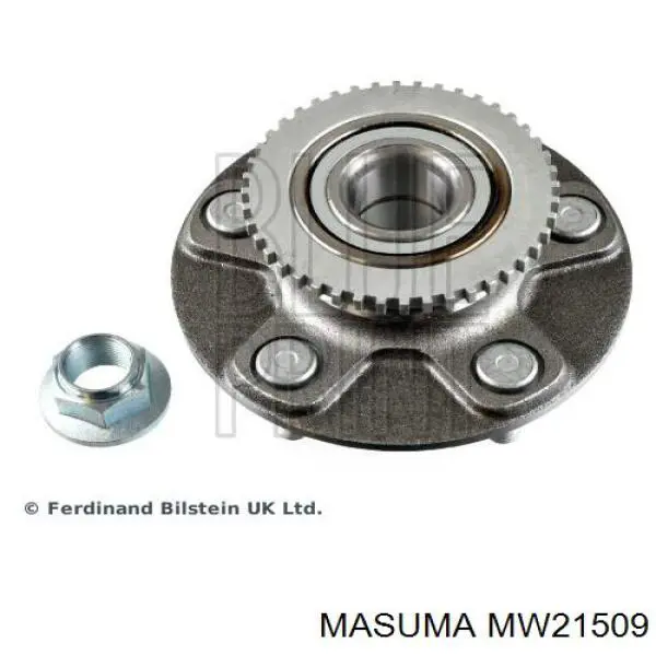 MW21509 Masuma Маточина задня
