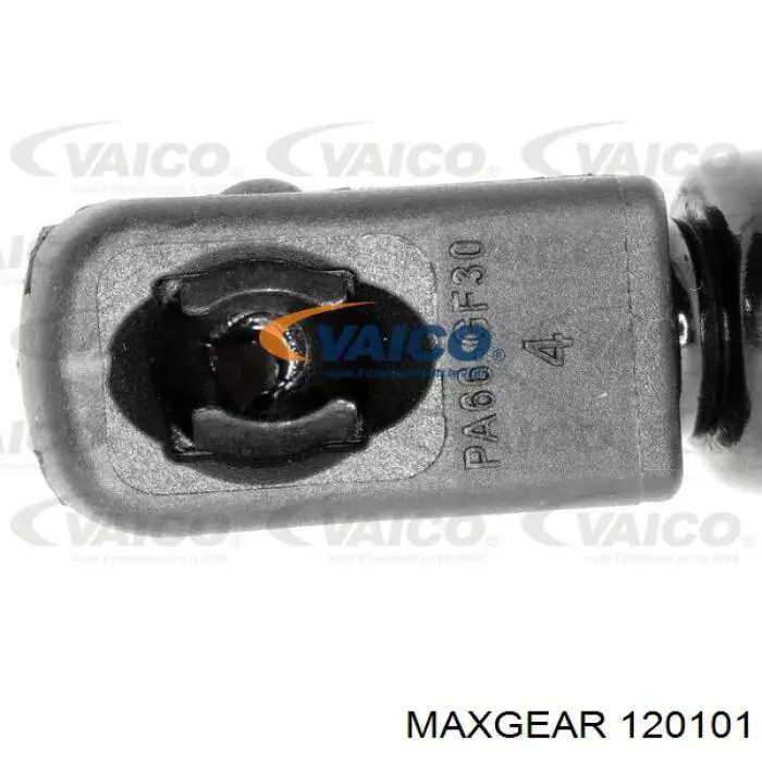 Купити 120101 Maxgear Амортизатор двері багажника