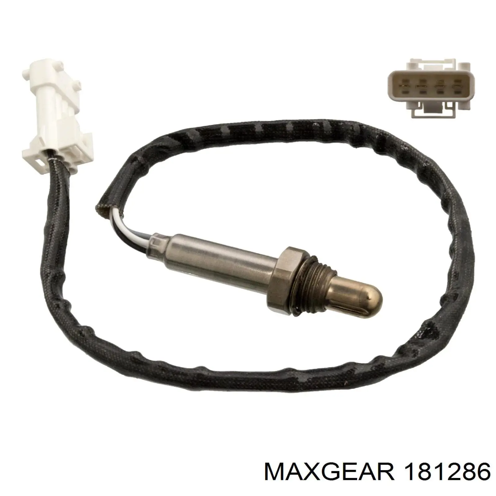 6H103495AD VAG Масловіддільник
