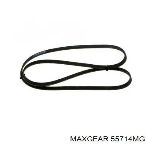 Натягувач приводного ременя 55714MG Maxgear