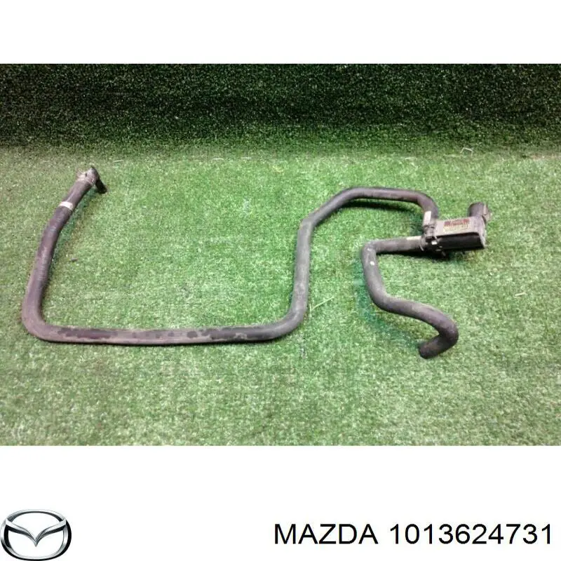 1013624731 Mazda 