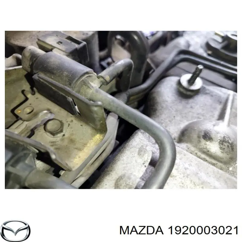  1920003021 Mazda