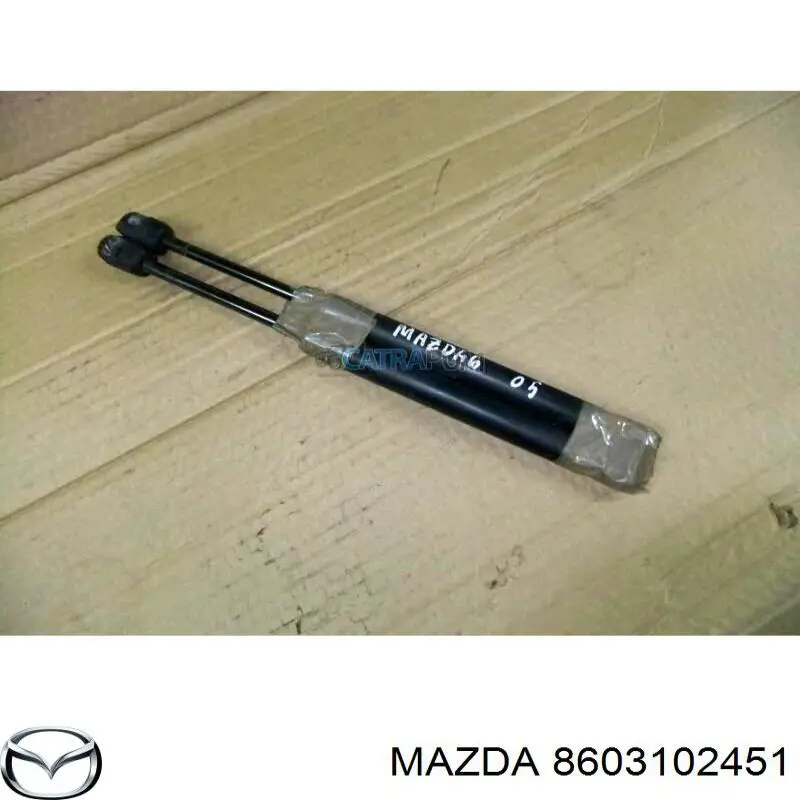 Моторчик омивача 8603102451 Mazda