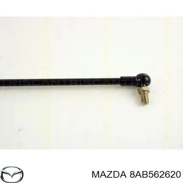 Амортизатор двері задньої Lesjofors 8155403 ціна, від 6.33 USD