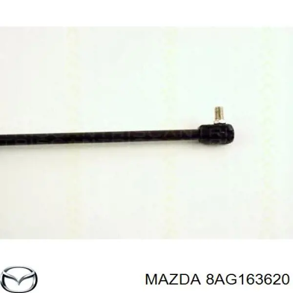 8AG163620 Mazda Амортизатор кришки багажника / двері 3/5-ї задньої