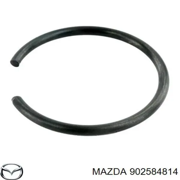 Купити 7703072047 Renault (RVI) 