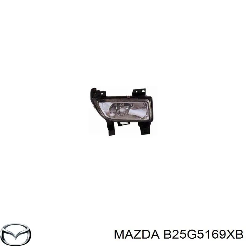  B25G5169XB Market (OEM)