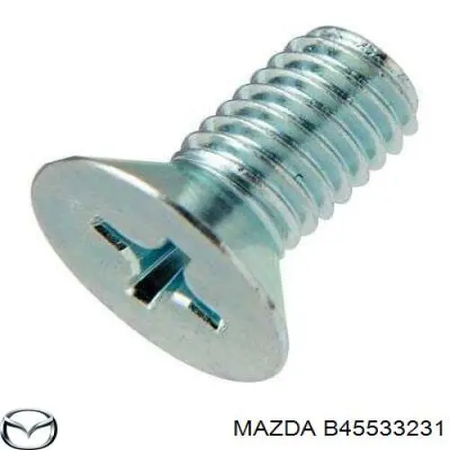 B45533231 Mazda комплект пружинок кріплення дискових колодок, передніх
