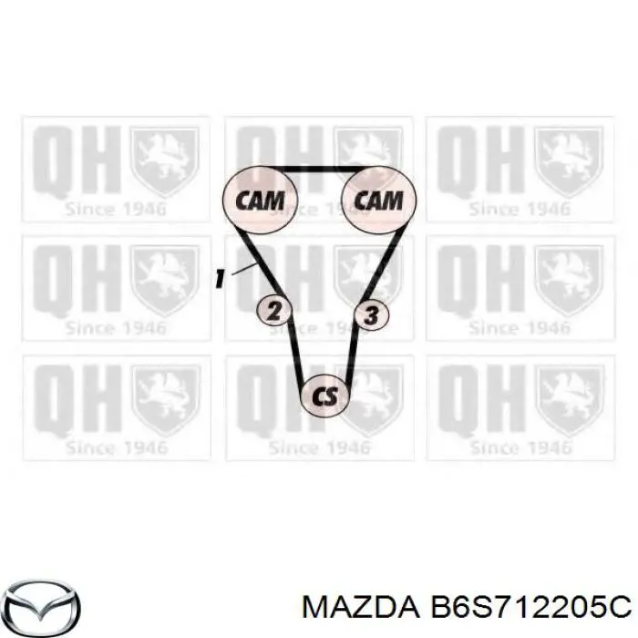B6S712205C Mazda Ремінь двигуна