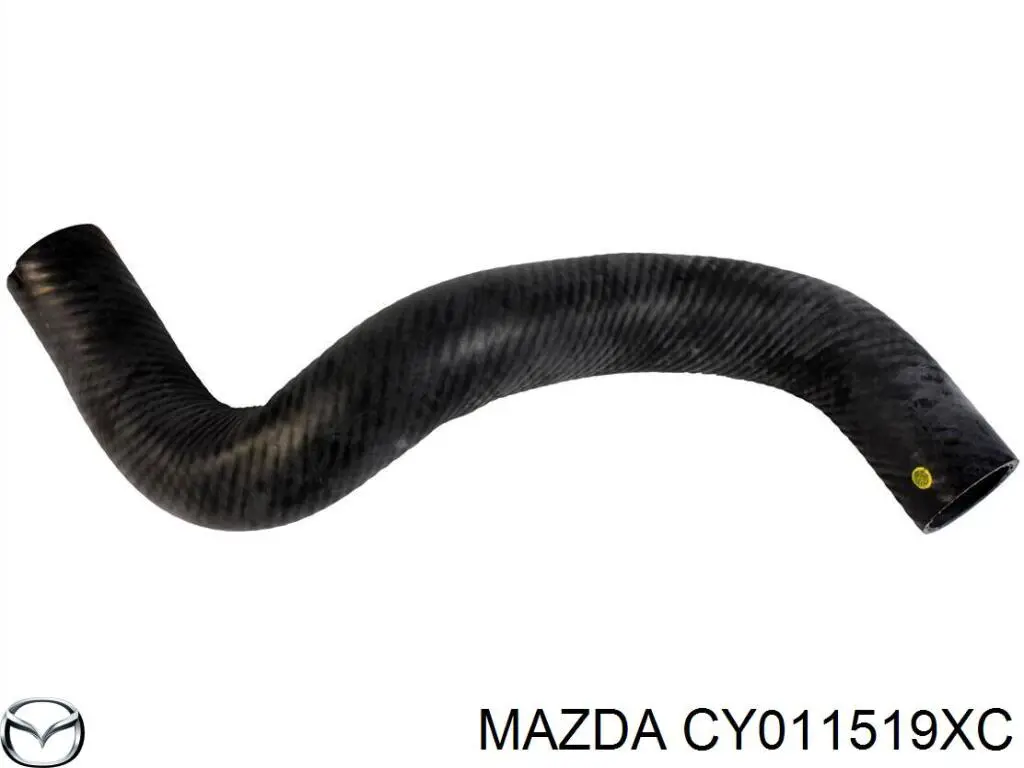 CY011519XC Mazda 
