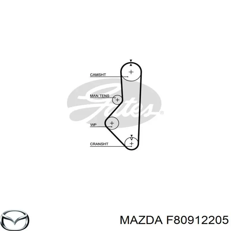 Купити F80912205 Mazda Ремінь газорозподільного механізму