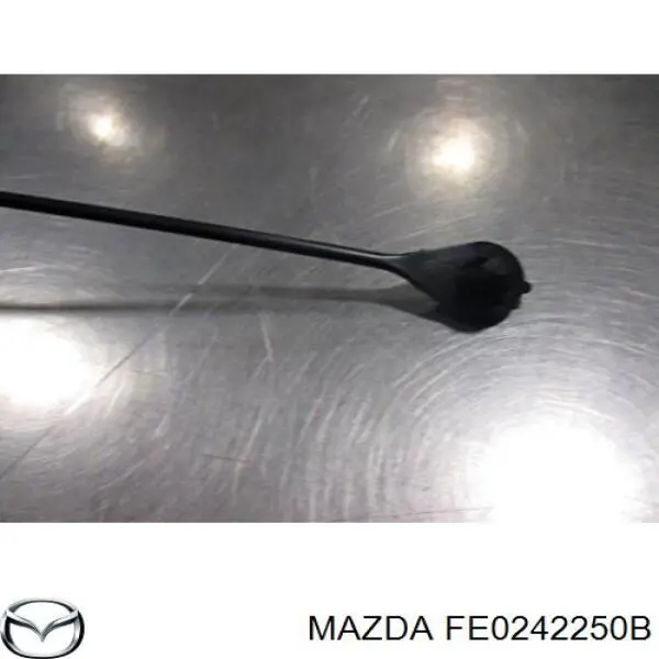 FE0242250B Mazda 