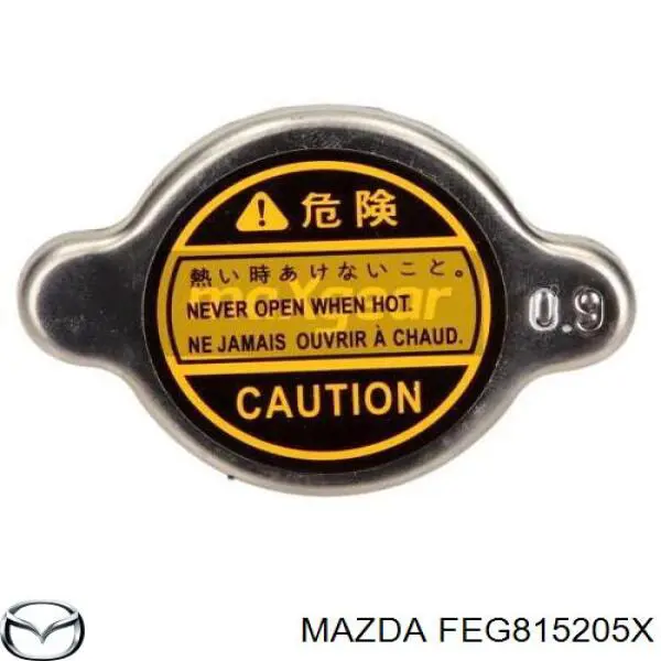 FEG815205X Mazda 