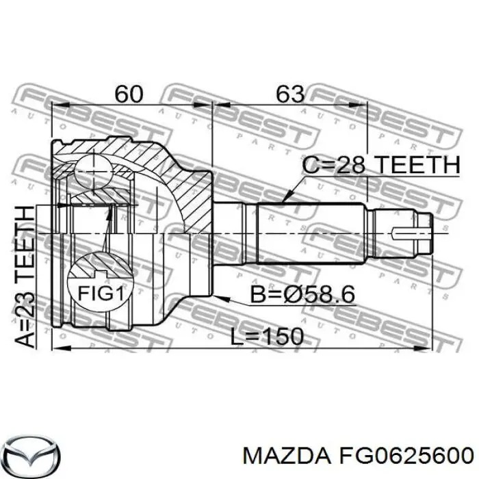  XXFG0625600 Market (OEM)