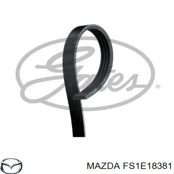 Купити FS1E18381 Mazda Ремінь генератора