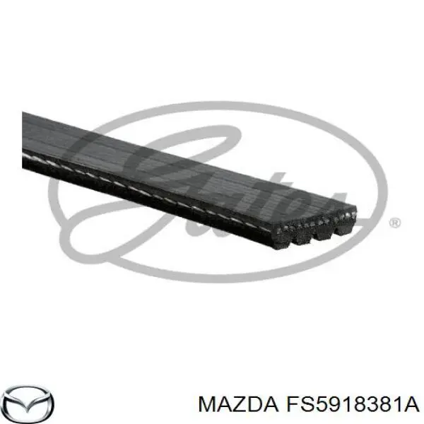 Клиновий ремінь Mazda FS5918381A ціна, від 11.36 USD