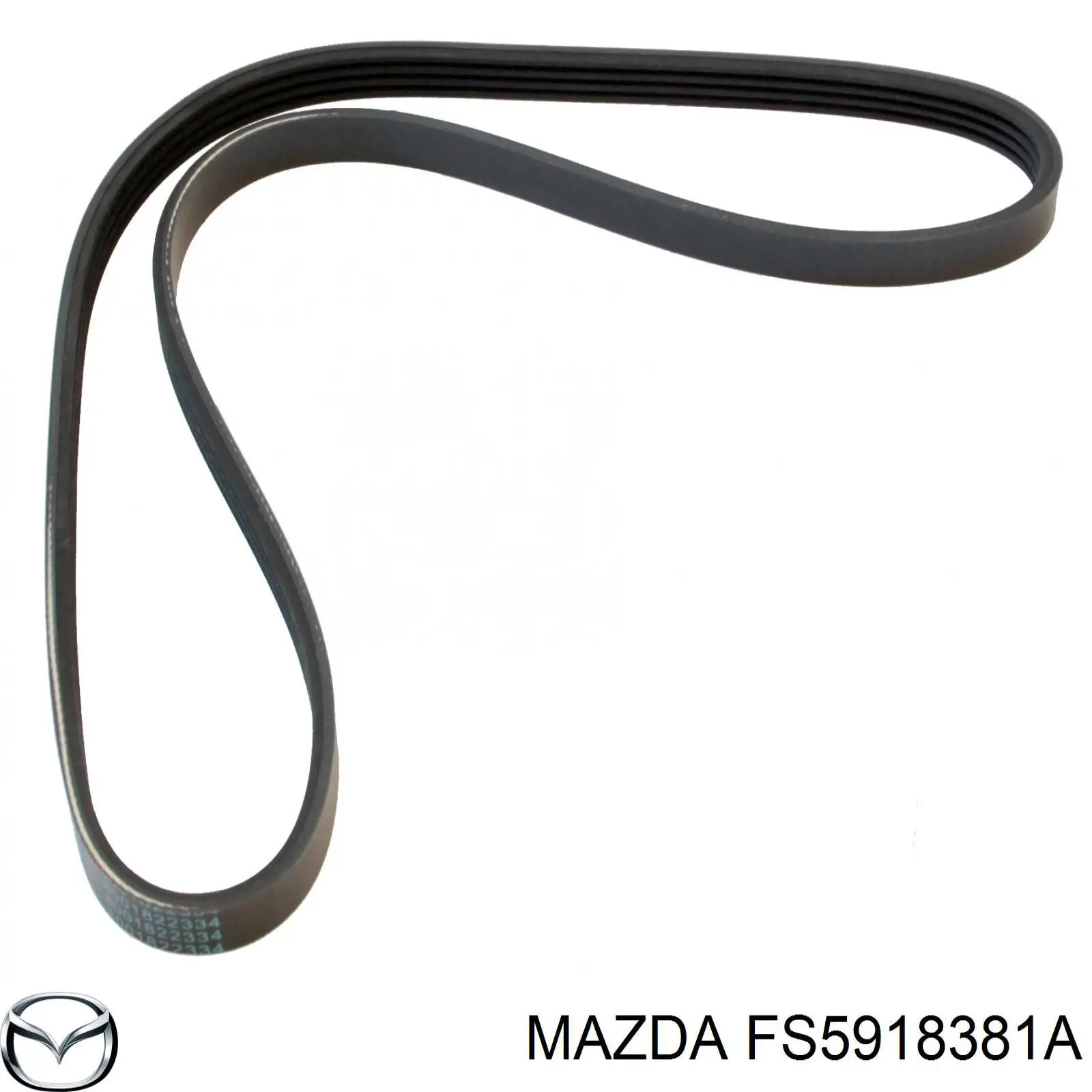 Купити FS5918381A Mazda Ремінь генератора