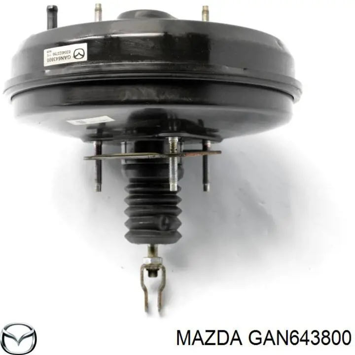 GAN643800 Mazda 