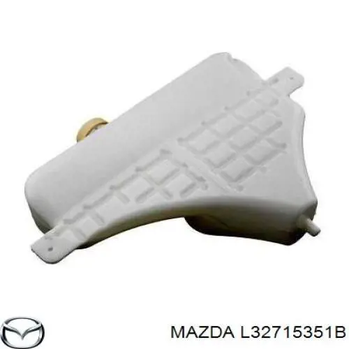 Купити 4519ZB1 Polcar Водяний бачок системи охолодження