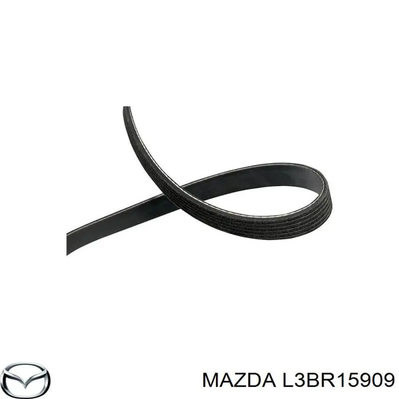 Купити L3BR15909 Mazda Ремінь генератора