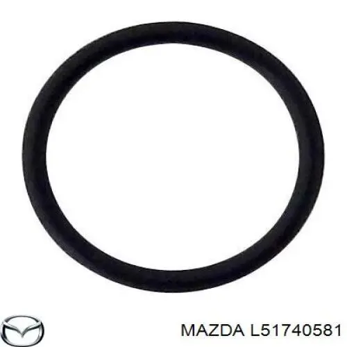 Прокладка монтажна, глушника Mazda 6 (GH) (Мазда 6)