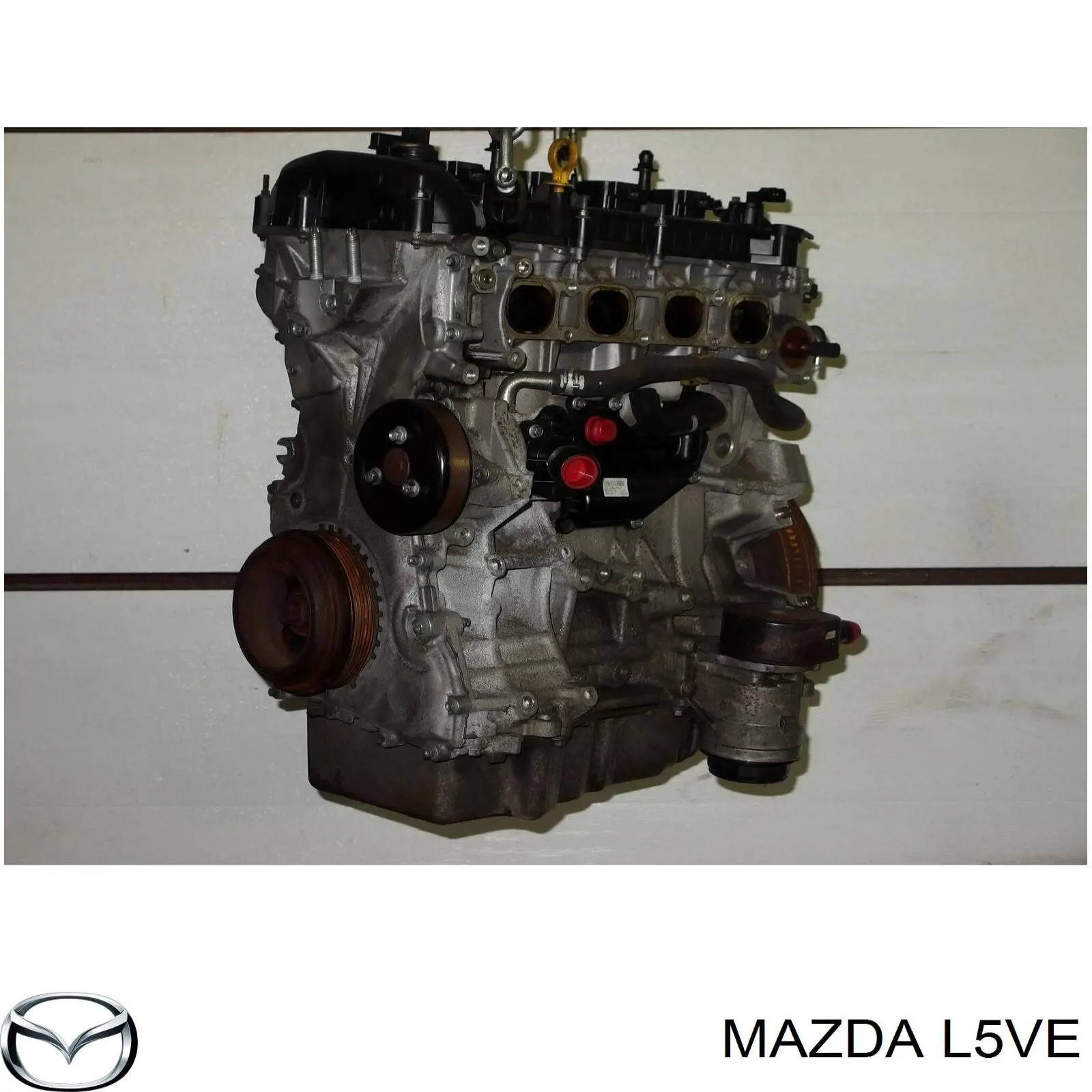 L5VE Mazda Мотор в зборі