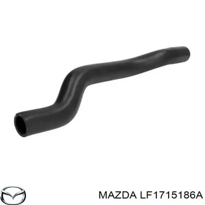 LF1715186A Mazda 