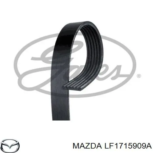 Клиновий ремінь Mazda LF1715909A ціна, від 20.65 USD