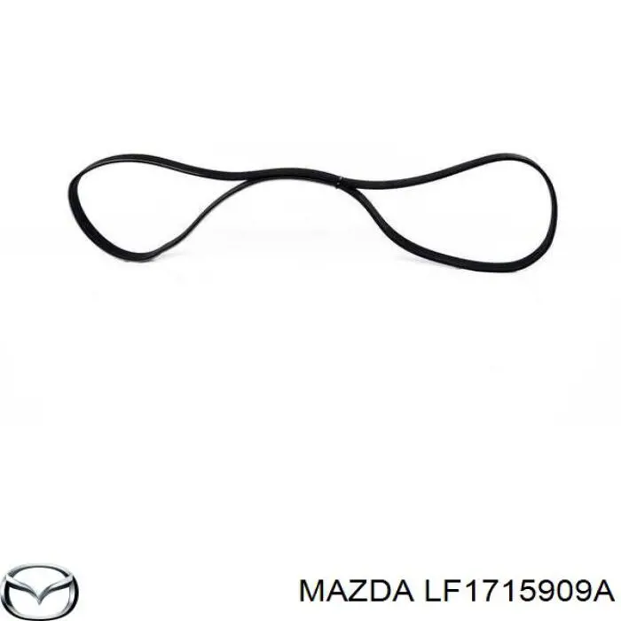 Купити LF1715909A Mazda Ремінь генератора