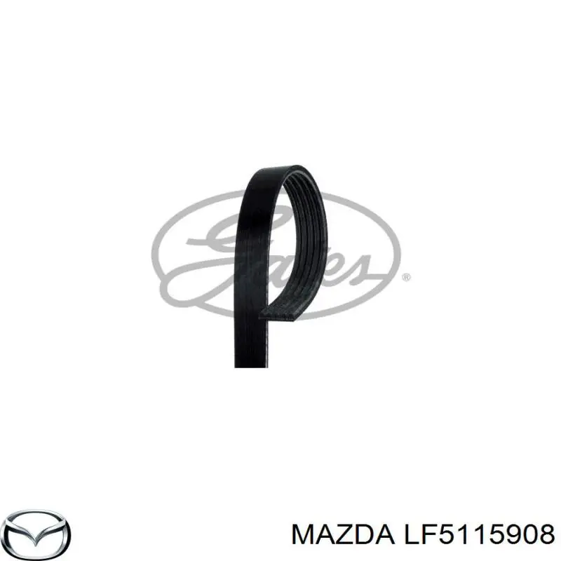 Купити LF5115908 Mazda Ремінь генератора