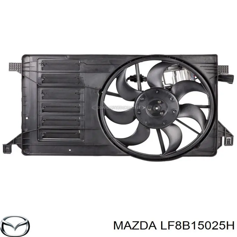  LF8B15025C Market (OEM)