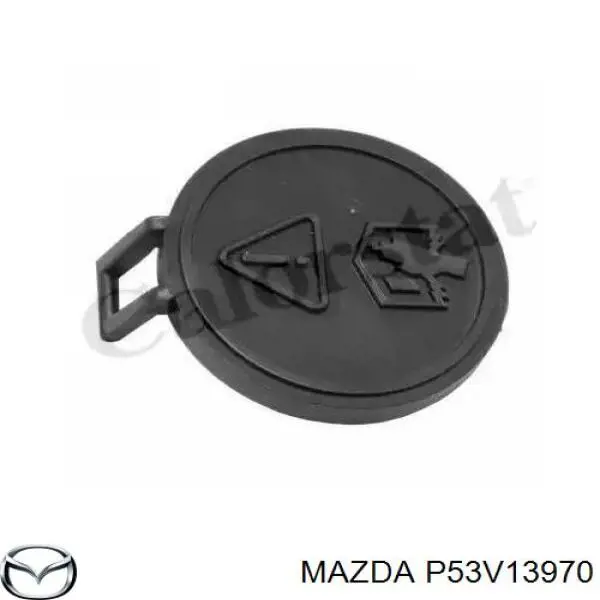 P53V13970 Mazda Абсорбер
