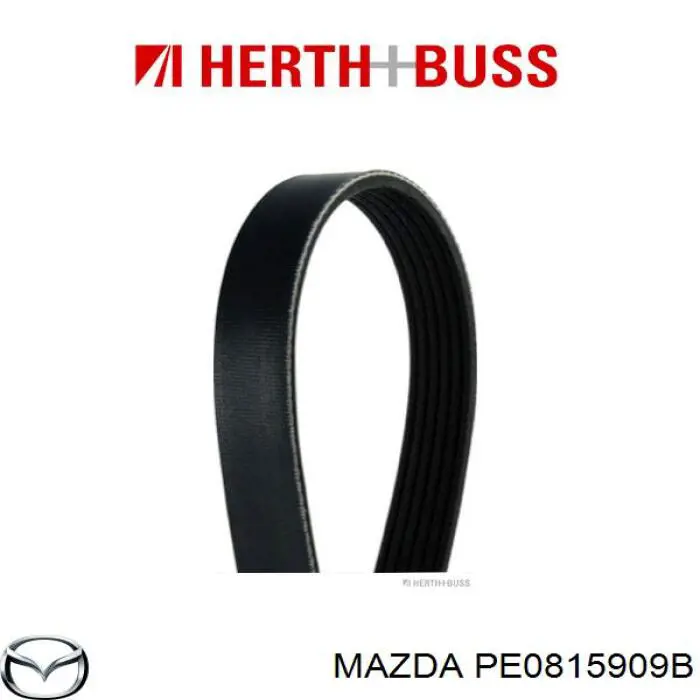 Клиновий ремінь Mazda PE0815909B ціна, від 9.87 USD