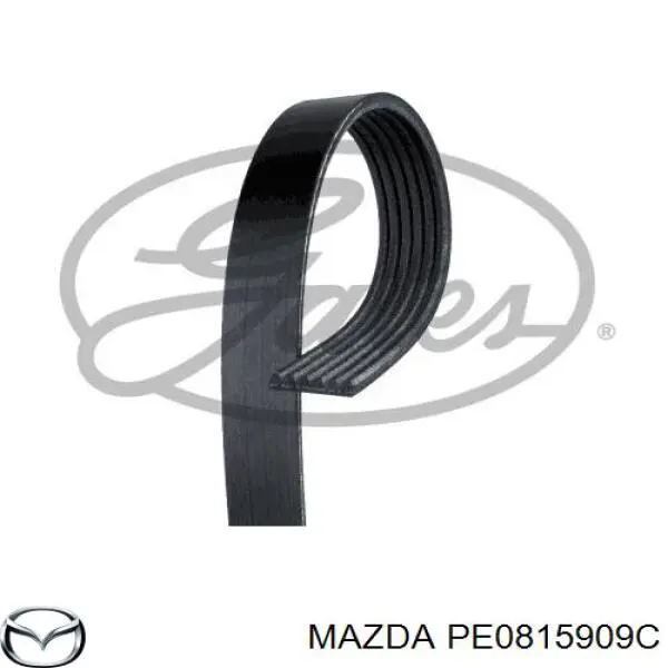 Купити PE0815909C Mazda Ремінь генератора