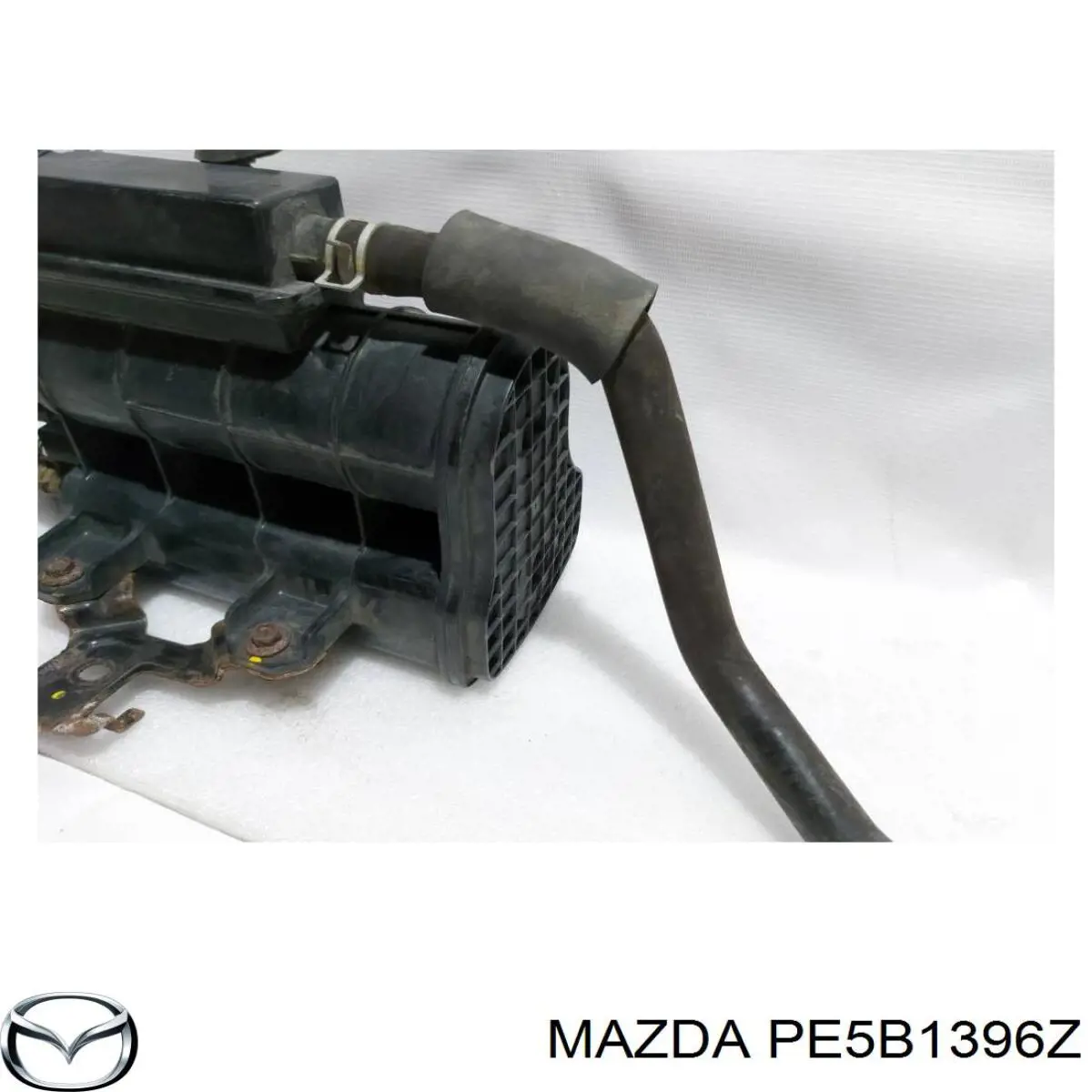 PE5B1396Z Mazda 
